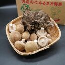 「原木まいたけ」と菌床栽培「生椎茸」セット 約1kg【ニコニコファーム】