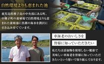 活き〆冷凍車海老　300g（Lサイズ）14～16尾入り【エビ えび 海老 車海老 くるまえび クルマエビ 冷凍 活き 新鮮 急速冷凍 海産物 天ぷら 塩焼 バーベキュー 国産 ギフト 真空パック 真空 養殖 九州産 鹿児島県 種子島 中種子町 ふるさと納税 送料無料 BF001】