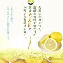 【ご家庭用訳あり】 紀州有田産レモン 2.5kg【2025年3月上旬以降発送】【先行予約】【UT46】