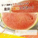 紀州和歌山産 小玉スイカ「ひとりじめ」 1玉【2025年6月上旬頃～2025年6月下旬頃に順次発送】【UT85】