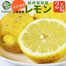 【ご家庭用訳あり】 紀州有田産レモン 2.5kg【2024年3月上旬以降発送】