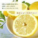 【ご家庭用訳あり】 紀州有田産レモン 2.5kg【2025年3月上旬以降発送】【先行予約】【UT46】