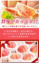 紀州和歌山産の桃 15玉 化粧箱入【2024年6月下旬より順次発送】