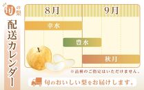 和歌山県産 旬の梨 約2kg【2024年8月中旬以降順次発送】【MG17】