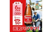 【隔月定期便全6回】オロナミンC50本(1ケース)×6回計300本  大塚製薬