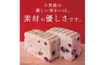 【定期便2ヶ月コース】和菓子 徳島銘菓 小男鹿(さおしか）標準2棹