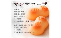 【定期便3ヶ月コース】徳島市厳選 和洋菓子3選
