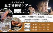 ガイドツアー ナイトビーチ 生き物探検ツアー 渡嘉敷島 約1.5時間コース