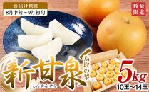 梨 新甘泉梨 5kg ( 5kg × 1箱 )