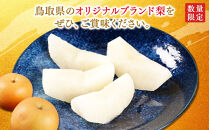 梨&nbsp;新甘泉梨&nbsp;5kg&nbsp;(&nbsp;5kg&nbsp;×&nbsp;1箱&nbsp;)｜梨&nbsp;なし&nbsp;新甘泉梨&nbsp;新甘泉&nbsp;5kg&nbsp;果物&nbsp;フルーツ&nbsp;ナシ&nbsp;甘い&nbsp;果汁&nbsp;和梨&nbsp;箱&nbsp;甘み&nbsp;くだもの&nbsp;国産&nbsp;果実&nbsp;鳥取県&nbsp;三朝町