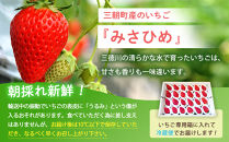 いちご&nbsp;みさひめ&nbsp;三朝町産&nbsp;贈答用&nbsp;デラックス大&nbsp;(&nbsp;12粒&nbsp;または&nbsp;15粒×2ケース&nbsp;)｜冷蔵&nbsp;いちご&nbsp;苺&nbsp;みさひめ&nbsp;果物&nbsp;スイーツ&nbsp;数量限定&nbsp;期間限定&nbsp;特産品&nbsp;デザート&nbsp;フルーツ&nbsp;人気&nbsp;おすすめ&nbsp;鳥取県&nbsp;三朝町