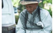 はちみつ 井之上養蜂場 桃源郷アカシア蜂蜜 鳥取県産 600g × 1本