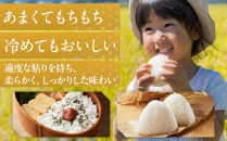 【令和7年産】新潟県佐渡産コシヒカリ15kg＜無洗米＞5kg×3