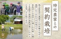 【定期便６回】（毎月下旬お届け）雪蔵氷温米&nbsp;南魚沼産こしひかり５ｋｇ【高島屋選定品】