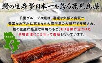 【紅白セット】鹿児島県産うなぎ　蒲焼1尾・白焼1尾・きざみ1袋