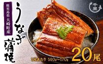 【大容量】鹿児島県産うなぎ　蒲焼き20尾