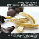 【AB1262VC04】【敬老の日】【大人なビターチョコレート】サマーオレンジ&nbsp;オランジェット&nbsp;2セット&nbsp;/&nbsp;心優-Cotoyu&nbsp;Sweets-【ポイント交換専用】