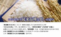新潟県&nbsp;南魚沼産&nbsp;コシヒカリ&nbsp;【従来品種】塩沢地区&nbsp;お米&nbsp;5kg&nbsp;&nbsp;×2袋&nbsp;計10kg精米済み（お米の美味しい炊き方ガイド付き）
