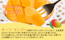 超希少なマンゴー【キーツ】&nbsp;約800g&nbsp;和歌山市（2025年9～10月発送分）