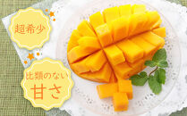 超希少なマンゴー【キーツ】&nbsp;約800g&nbsp;和歌山市（2025年9～10月発送分）