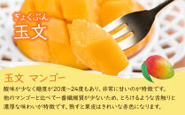 幻のマンゴー&nbsp;玉文&nbsp;約800g&nbsp;和歌山市&nbsp;2025年9月発送