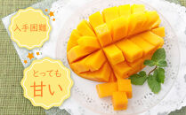 幻のマンゴー&nbsp;玉文&nbsp;約1kg&nbsp;和歌山市&nbsp;2025年9月発送
