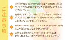 幻のマンゴー&nbsp;玉文&nbsp;約1kg&nbsp;和歌山市&nbsp;2025年9月発送