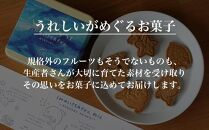 お菓子 焼菓子 クッキー【うんてん洋菓子店】海のいきものクッキー缶