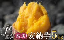  ＜先行予約＞【あぐりの里】厳選！本場種子島産安納芋5kg【焼き芋 焼芋 やきいも さつまいも さつま芋 先行予約 熟成 蜜 しっとり 甘い 安納いも 国産 鹿児島県産 種子島産 中種子町 送料無料 N157】