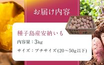 ＜先行予約＞【安納大地】完熟吊し生芋　安納いも3kg（プチサイズ）【焼き芋 焼芋 やきいも さつまいも さつま芋 生芋 完熟 熟成 蜜 しっとり 甘い 安納いも 国産 鹿児島県産 種子島産 中種子町 送料無料 N159】