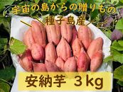 ＜先行予約＞【種子島安納】種子島産安納芋3kg【焼き芋 焼芋 芋 いも やきいも さつまいも さつま芋 熟成 蜜 しっとり 甘い 安納いも 国産 鹿児島県産 種子島産 中種子町 送料無料 N161】