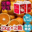 年内発送 ちょっと傷あり 完熟早生 有田みかん M～SS サイズ 2kg × 2箱 手さげ箱 和歌山 南泰園