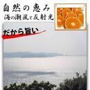 ＜12/26までの注文は年内発送＞ みかん 4.5kg ご家庭用　和歌山県有田川町産　有田みかん 4.5kg