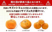 訳ありみかん約4kg箱+痛み補償200g(3S～Lサイズ混合)和歌山県産〈糖度12.5度以上〉