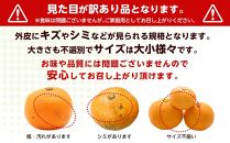 和歌山県産 糖度9.5度 以上 訳あり みかん 7kg 傷み補償+200g 3S ～ 2Ｌサイズ混合【MG58】