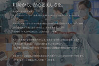 ポイントケア特化美顔器 プラチナヘッド×EMS【TILLET I-UP Black】