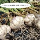 みかん堆肥の黒にんにく 約200g 和歌山県産