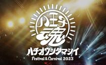【11月11日開催】　「八王子魂　Festival＆Carnival　2023」　1dayチケット1枚(1名様分)　2023年10月10日締め切り