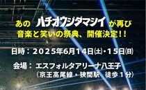 【6月14日開催/1dayチケット(1名様分)】八王子魂Festival＆Carnival2025