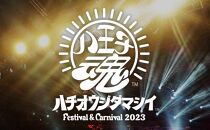 【11月12日開催】　「八王子魂　Festival＆Carnival　2023」　1dayチケット1枚(1名様分)　2023年10月10日締め切り