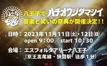 【11月12日開催】　「八王子魂　Festival＆Carnival　2023」　1dayチケット1枚(1名様分)　2023年10月10日締め切り