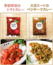 【Organic Vege Annex】無添加惣菜10パックセット