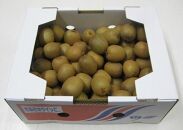 さぬきキウイっこ　香川県産　約2kg（40～80個入り）
