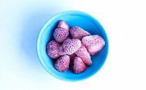 【訳アリ】完熟冷凍苺 紅ほっぺ1.0kg / 化粧箱入【果実まるごとアイス】