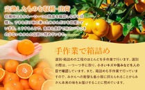 完熟 アルギット みかん 3kg M ～ L サイズ | 先行予約 みかん 有田みかん 甘い おいしい ジューシー 皮 薄い 完熟 期間限定 フルーツ 果物 人気 おすすめ 高級 こだわり ギフト 旬 お取り寄せ 送料無料 和歌山