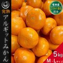 完熟 アルギット みかん 5kg M ～ L サイズ | 年内発送 可 先行予約 みかん 有田みかん 甘い おいしい ジューシー 皮 薄い 完熟 期間限定 フルーツ 果物 人気 おすすめ 高級 こだわり ギフト 旬 お取り寄せ 送料無料 和歌山