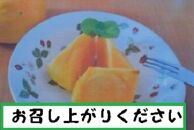 甘柿　太秋柿5L×7個入（2.5kg以上） 化粧大箱入り【2024年10月20日以降発送】