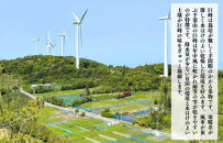 ぶどう&nbsp;巨峰&nbsp;種あり&nbsp;3kg&nbsp;5～9房&nbsp;和歌山県産&nbsp;クール便対応&nbsp;【みかんの会】