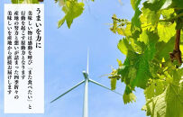 ぶどう&nbsp;巨峰&nbsp;種あり&nbsp;3kg&nbsp;5～9房&nbsp;和歌山県産&nbsp;クール便対応&nbsp;【みかんの会】