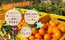 はじめまして有田みかん 和歌山県産 お試し 約5kg /ORYY推奨